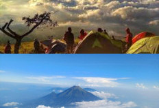 Gunung Sumbing, Menyaksikan Keindahan dan Menikmati Petualangan di Puncak!