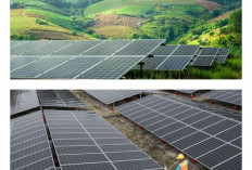 Teknologi Global yang Mempercepat Dunia Menuju Energi Bersih
