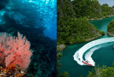 Dari Telur Naga hingga Pulau yang Hilang, Misteri yang Hidup di Raja Ampat!