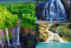 Dari Air Terjun hingga Museum Unik, Inilah Pesona Malang yang Tak Terlupakan!
