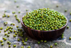 6 Manfaat Kacang Hijau Sebagai Sumber Protein Nabati Untuk Pertumbuhan dan Perbaikan Jaringan