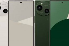 Harga Terbaru AQUOS R11 Juni 2026 Terungkap! Masih Layak Dibeli atau Lebih Baik Pilih HP Flagship Lain!