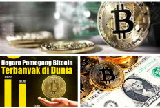 5 Negara Pemegang Bitcoin Terbesar di Dunia Dan Cara Mereka Mendapatkannya