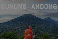 Melihat Keindahan Gunung Andong: Panduan Jalur Pendakian