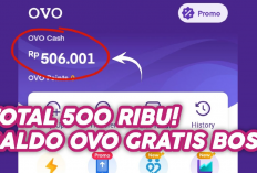 Baca Berita Ini Setiap Hari dan Dapatkan 500 Ribu Saldo OVO Secara Cuma-Cuma!