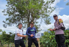 Polres Pagar Alam Tanam Ratusan Pohon di Bukit Jambul