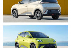 Revolusi Mobil Listrik Rp195 Juta: Intip Spesifikasi Lengkap BYD Atto 1 Dynamic!