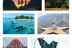 Sangat Recomended! 8 Tempat Wisata di Sulawesi Selatan, Punya Spot Foto Keren Lhoo