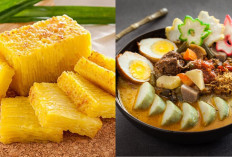 Nikmati Sensasi Gurih dan Pedas Dalam 10 Makanan Khas Medan Yang Legendaris!