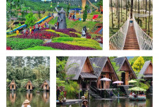 Yuk Liburan! Ini Dia 7 Rekomendasi Wisata Spot Foto Terbaik di Bandung, Salahsatunya Grafika Cikole 