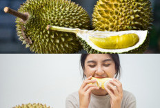 6 Manfaat Kesehatan Durian Yang Tidak Boleh Dilewatkan