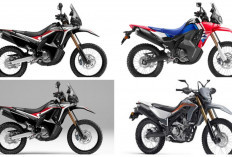 Ini Spesifikasinya! Honda CRF250L Bakal Jadi Motor Trail Premium Tahun 2026