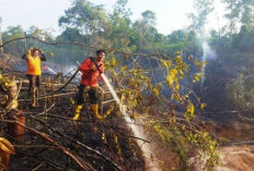 Jumlah Titik Api di Kaltim Meningkat