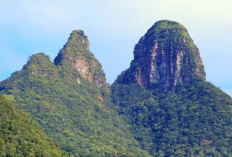 Keindahan dan Mitos dari Kepulauan Riau, Berikut Ulasan Gunung Daik