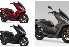 Harga Mulai Rp34 Jutaan! Honda PCX160 2026 Meluncur dengan Warna Baru