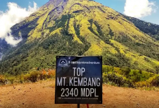 Pendakian Gunung Kembang: Menaklukkan Keindahan Gunung di Jawa Tengah