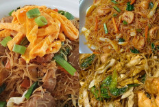 Buruan Cobian Resep Bihun Goreng, Enak Menggugah Selera!