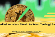 Ini Pesaing Abadi, Bitcoin Cash (BCH) Terus Bersinar di Tahun 2024