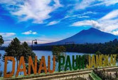 Mengungkap Pesona Jambi,100 Destinasi Wisata yang Harus Anda Kunjungi