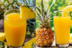  Yuk Kreasikan Sayang! Resep Jus Nanas Segar Dan Menyehatkan Cocok Banget Untuk Yang Lagi Diet!