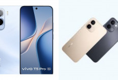 Harga Terbaru Vivo T5 Mei 2026 Resmi Terungkap, Spek dan Fitur Barunya Bikin Penasaran!