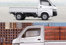 Suzuki Carry Pick Up 2026: Cek Harga Terbaru, Kapasitas Bak 1 Ton, dan Cicilan Ringan Mulai 3 Jutaan!