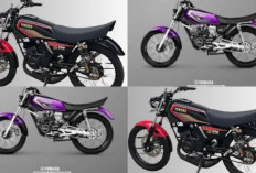 6 Rekomendasi RX-King Terbaik 2026: Dari Motor Harian Legendaris hingga Koleksi Premium Bernilai Tinggi 2026!