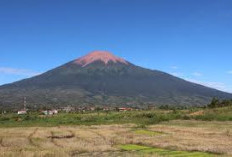 Terungkapnya Misteri Gunung Kerinci: Mitos, Fakta, dan Konservasi