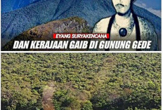 Hanya Mitos? Keberadaan Kerajaan Magis Suryakencana Gunung Gede Pangrango. Ini Jawabannya!