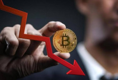 Mengapa Bitcoin Berpotensi Terkoreksi?