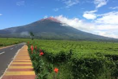 Gunung Kerinci: Puncak Tertinggi di Pulau Sumatera