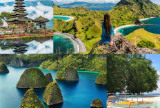 Keajaiban Wisata Indonesia, 7 Destinasi dengan Pesona Tak Terlupakan!