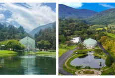 Kebun Raya Cibodas! Surga Flora dan Petualangan di Tengah Alam