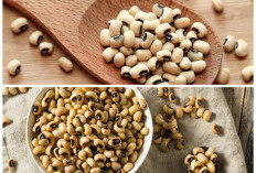 Jangan Remehkan Kacang Tolo, Kandungan Seratnya Punya Banyak Manfaat untuk Kesehatan Pencernaan
