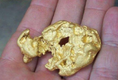 Penemuan Logam Emas di Gunung Padang Gemparkan Dunia, Emang Benar?