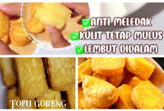 Untuk Hasil Maksimal, Begini Cara Menggoreng Tofu Agar Tidak Hancur