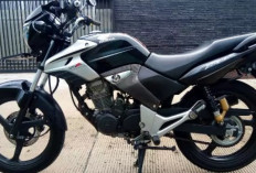 Pandangan Pada Honda Tiger Reborn Kembali ke Akar Klasik, Ini Penjelasannya!