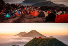 Petualangan Seru di Gunung Prau, Sunrise dan Padang Bunga yang Memukau!