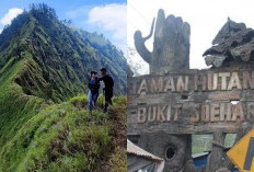 Bukit Soeharto Tempat Sakral Dengan Cerita Mistis yang Belum Terpecahkan, Yuk Simak Artikel Ini!