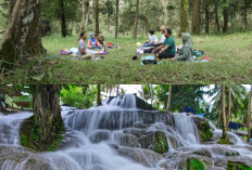 Petualangan Menantang Menjelajahi Lima Air Terjun Tersembunyi di Lamanabi, Flores Timur!