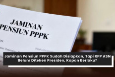 ASN PPPK Butuh Jaminan Pensiun