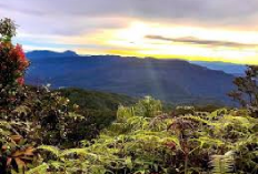 Keajaiban Alam Gunung Seblat, Menelusuri Keindahan dan Keanekaragaman Hayati di Bengkulu