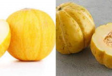 Rahasia Nutrisi di Balik Buah Blewah: Si Segar Yang Kaya Manfaat Untuk Kesehatan 