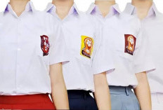 TK Negeri 2 Pagar Alam Hadirkan Pendidikan Gratis untuk Anak Usia 4 Tahun