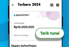Butuh Uang Mendesak? Pinjam Saldo GoPay Rp15 Juta Tanpa Ribet, Cair Sekejap!