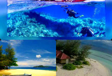 Surga Tersembunyi di Kepualauan Togean. Inilah Keajaiban Bawah Laut Menakjubkan Teluk Tomini Gorontalo
