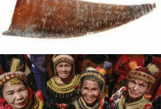 Budaya Suku Kerinci: Dari Leluhur hingga Kehidupan Modern