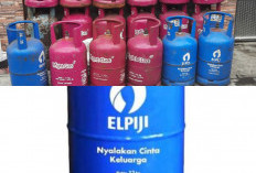 Non-subsidized LPG Prices Soar, Strangling Residents and MSMEs by Energy Costs