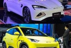 BYD Holds EV Prices Steady Despite Rupiah Weakness and Rising Production Costs