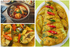 Bukan Sekadar Ikan! Ini Alasan Patin Layak Jadi Menu Andalan